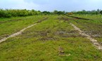 Wicken Fen - 5